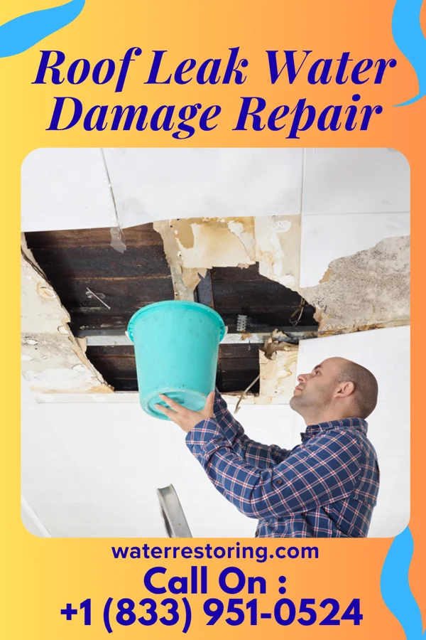 Roof Leak Water Damage Repair in Birmingham, MO