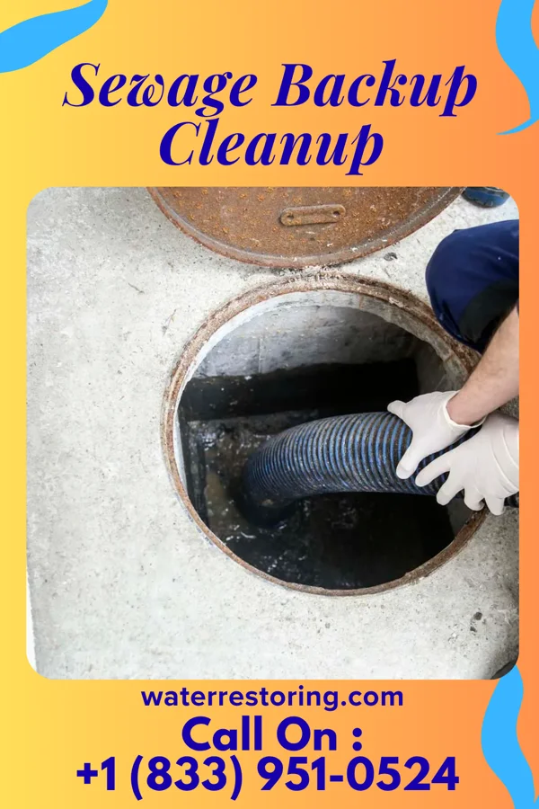 Sewage Backup Cleanup in Birmingham, MO